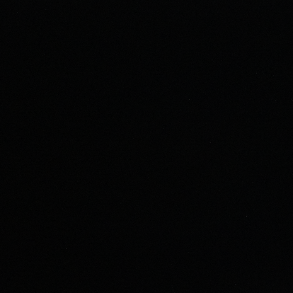 9010 Mute Black